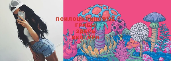 прущие крисы Карпинск