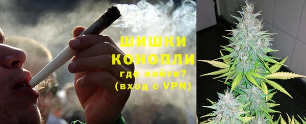сатива Киренск