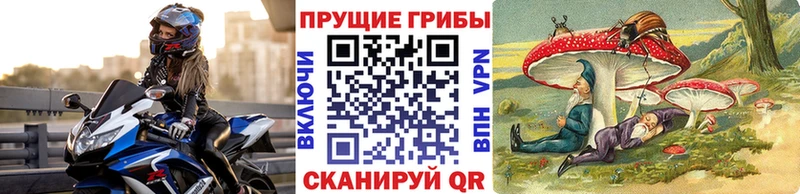 Галлюциногенные грибы Psilocybe  Купить где  Краснознаменск 