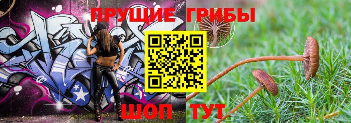 Краснознаменск  Галлюциногенные грибы Psilocybe  где продают   Галлюциногенные грибы Psilocybine cubensis  Вход с VPN 
